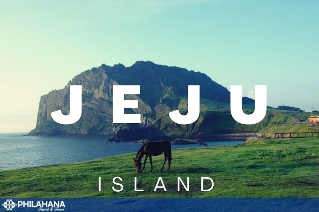 [US] Beautiful Jeju 2Nights 3Days (Bilingual tour guide)