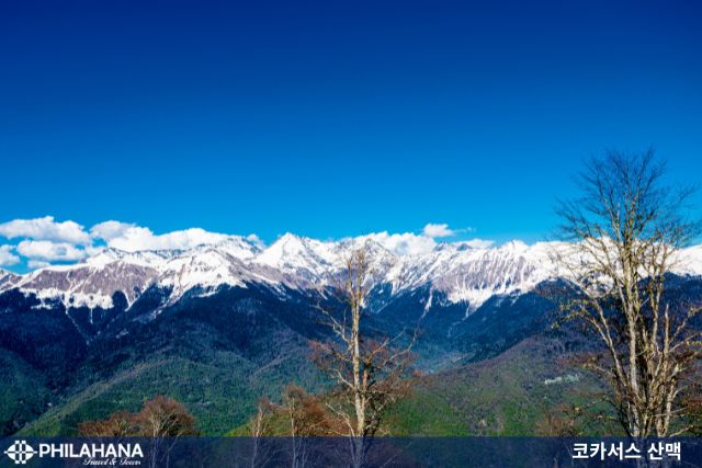 [특선AJ] 코카서스 3국 11일